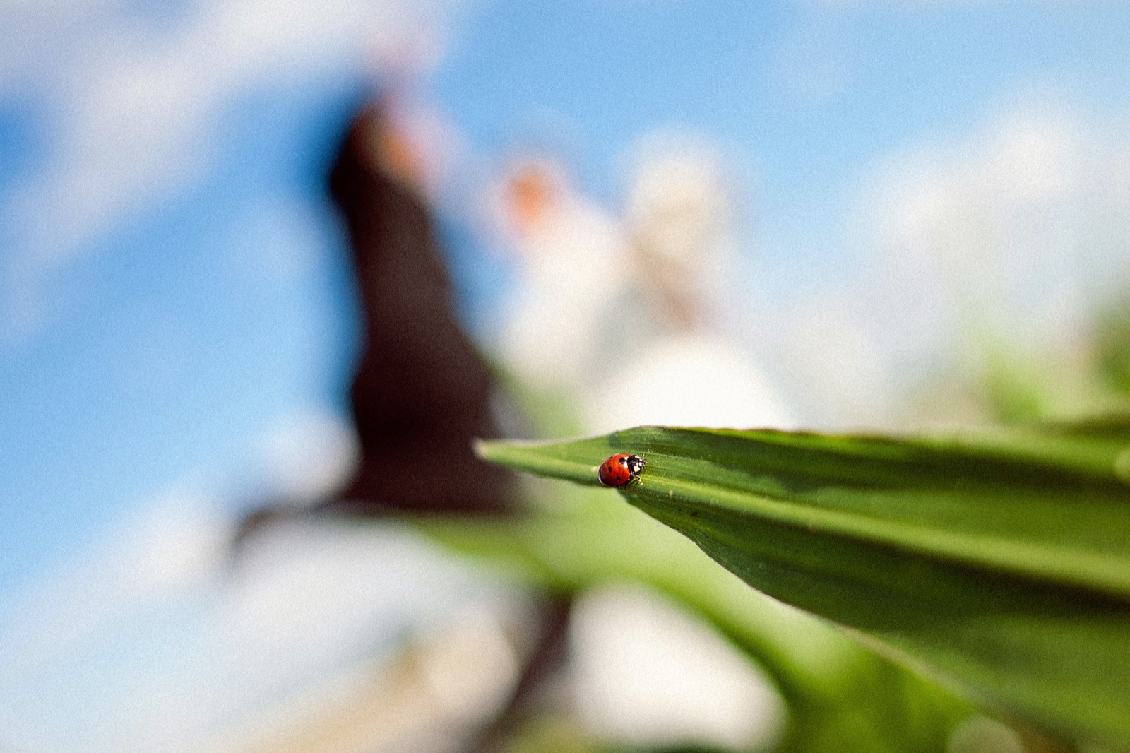 Photographe et Vidéaste : Pourquoi choisir un duo complice ?